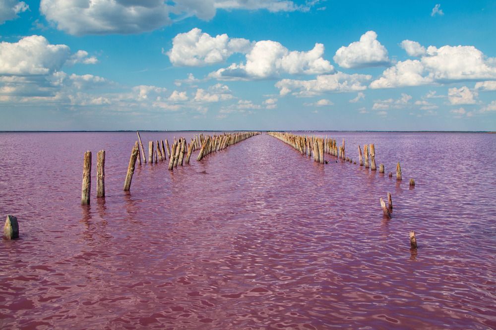 Photograph by Татьяна Панчешная