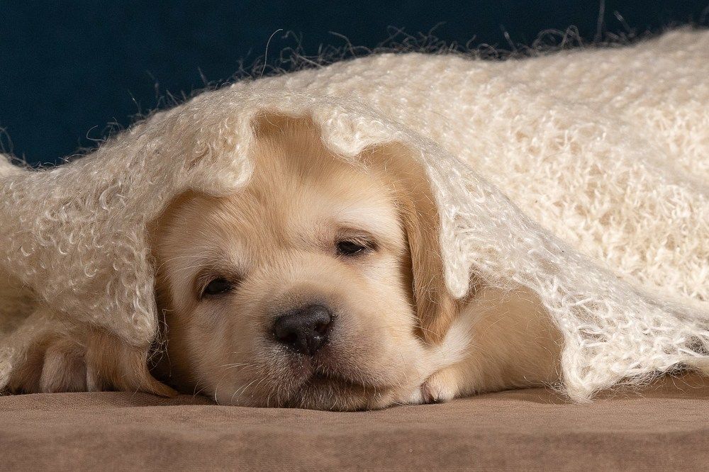 Фотография автора Елена