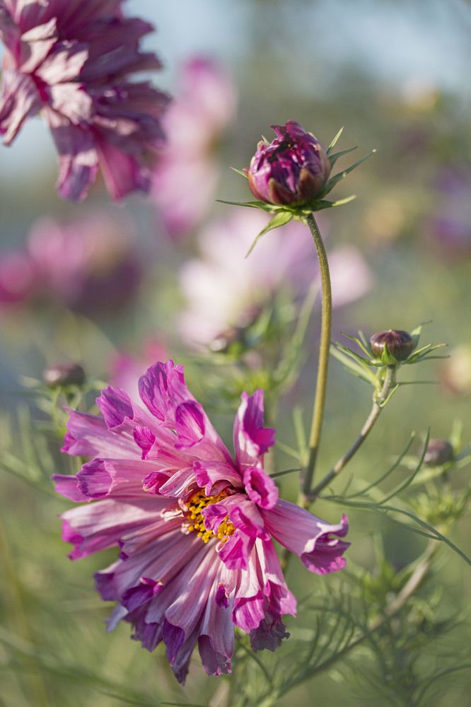 Photograph by Татьяна Панчешная