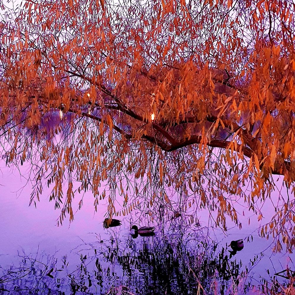 Photograph by Александра Борисовна