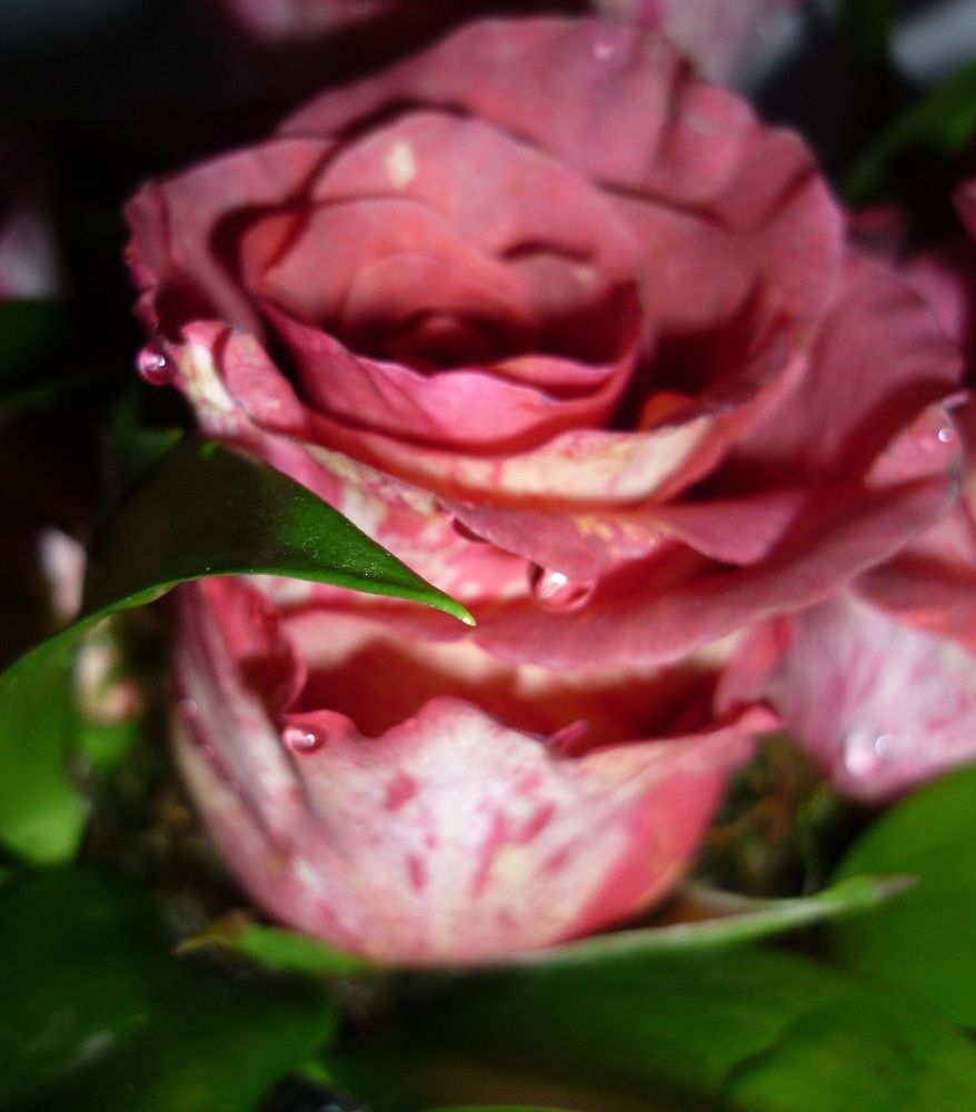 Photograph by Ольга Хромова