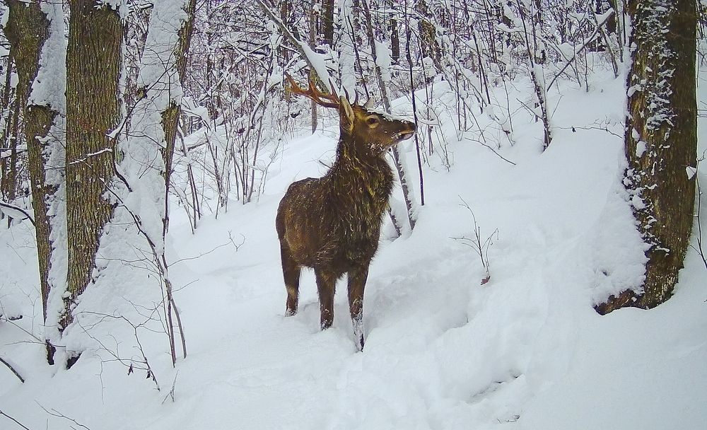 Photograph by Юрий Яковлев