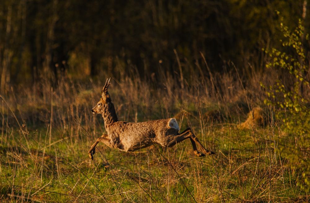 Photograph by Юрий Яковлев