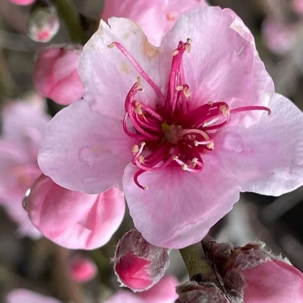 Фотография автора Nieves Gloria Alvarez Diaz