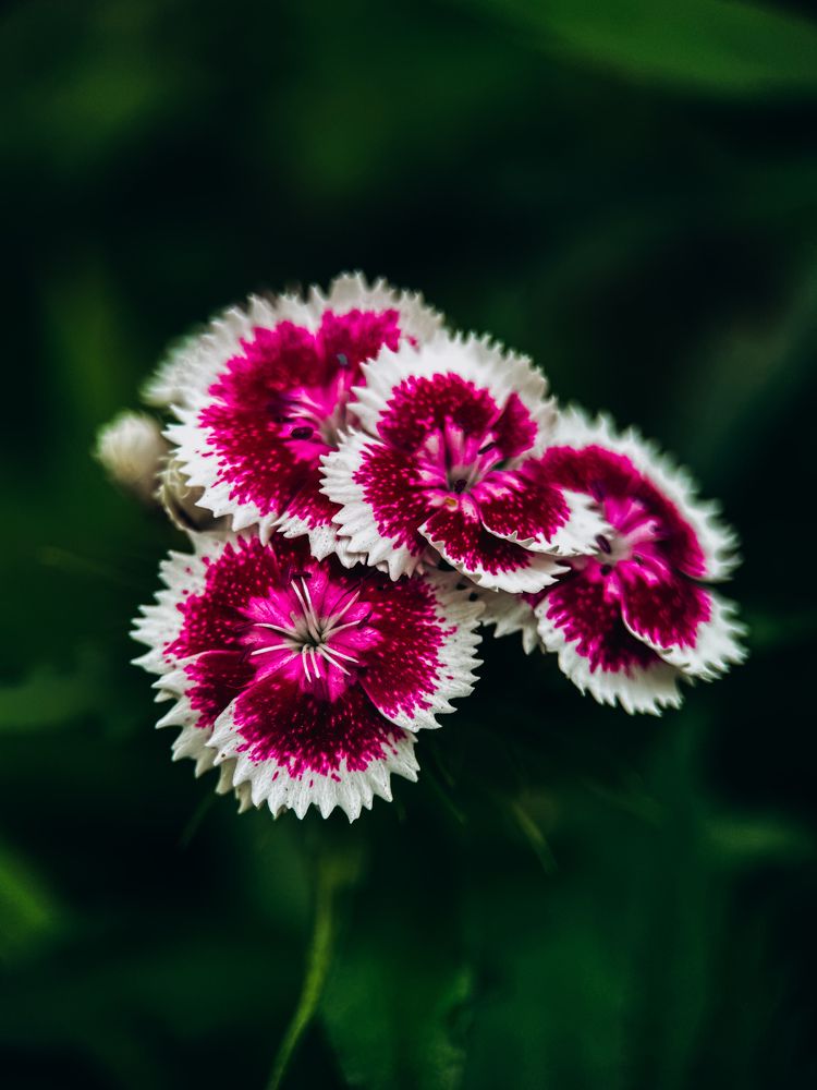 Фотография автора Юлия Осетрова