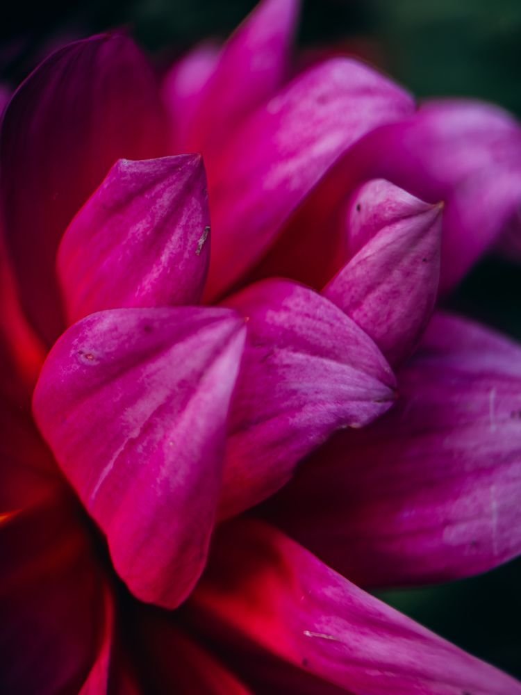 Фотография автора Юлия Осетрова