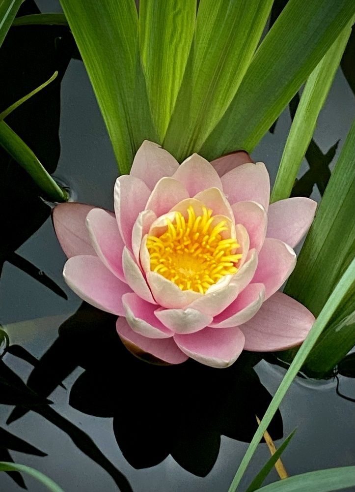 Фотография автора Evgeniya Ivanova