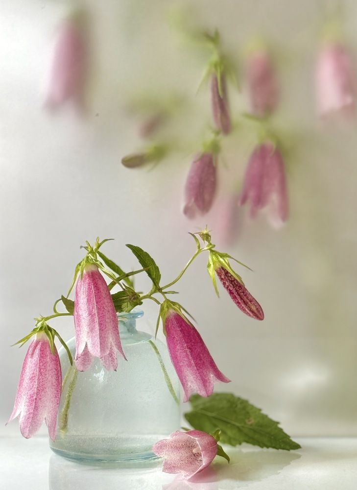 Фотография автора Evgeniya Ivanova