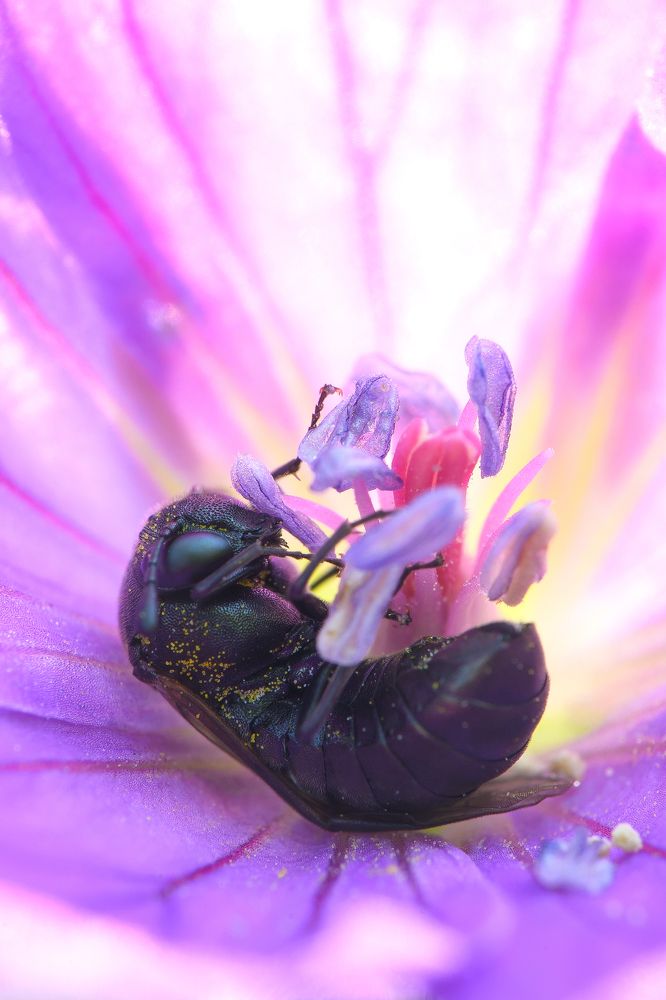 Photograph by Кузнецов Дмитрий