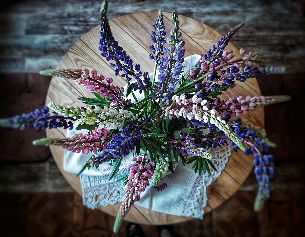 Photograph by Ярославна