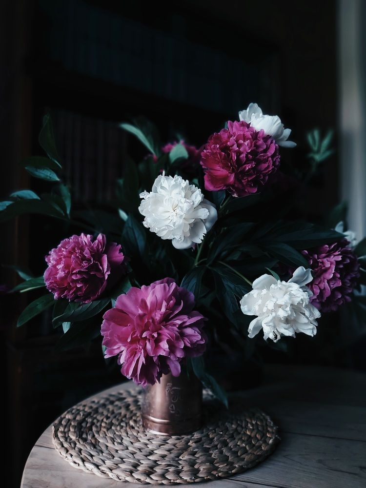 Photograph by Ярославна