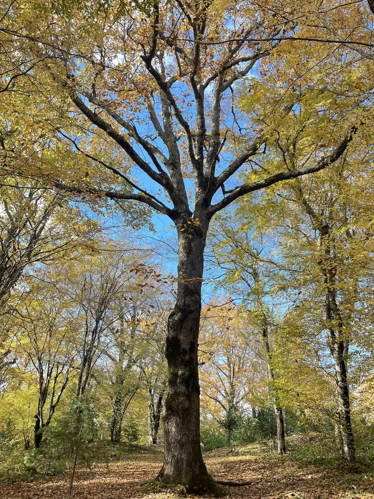 Photograph by Оксана Сербиненко