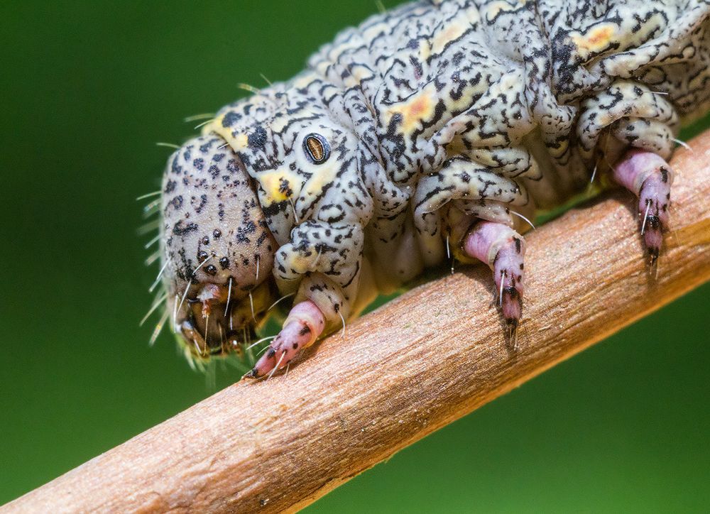 Photograph by Борис Журавлёв