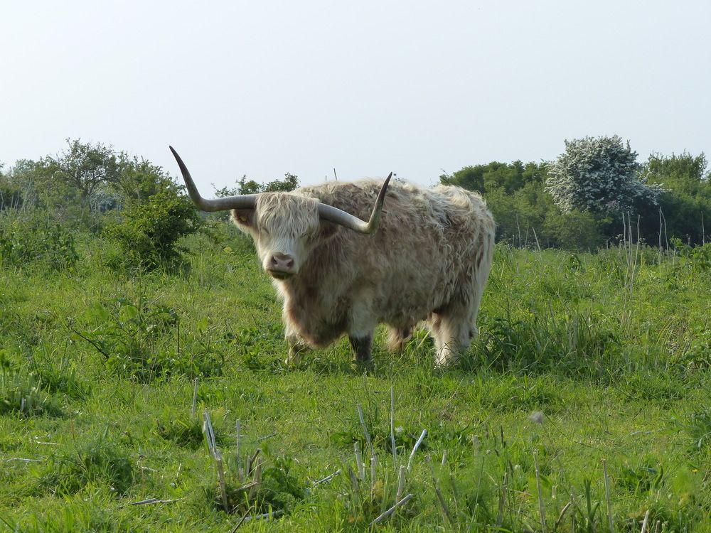 Photograph by Isabella Northrop