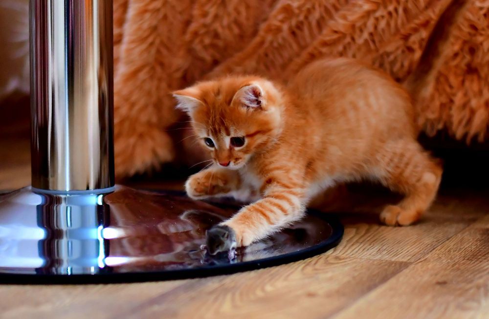 Photograph by Николай Абакумов