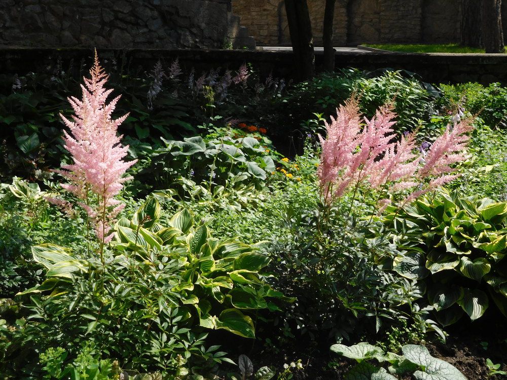 Photograph by Маша Худякова