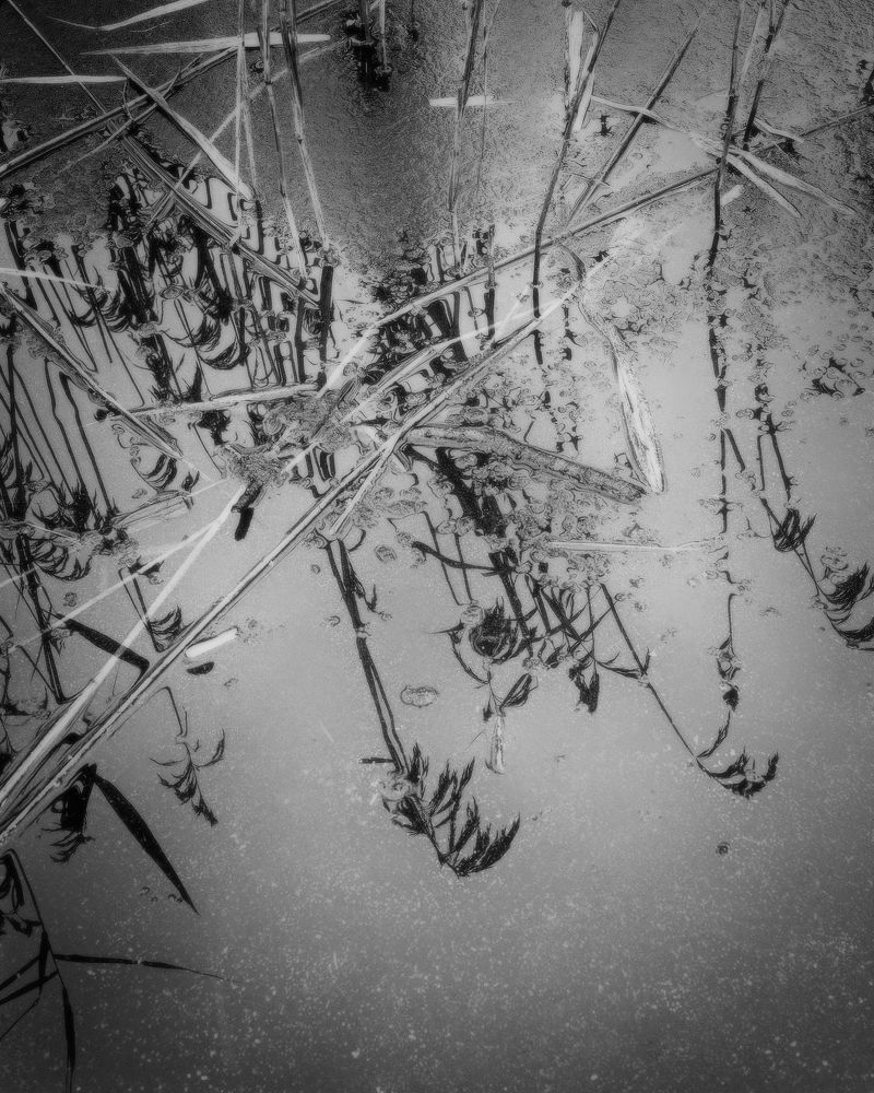 Photograph by Aleksei Degtjarjov