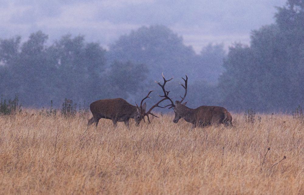 Photograph by jose luis Trujillo