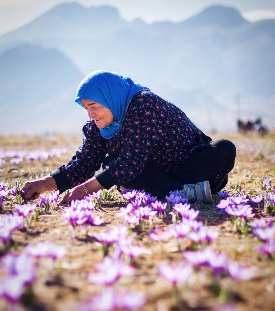 Photograph by Hamid espanani