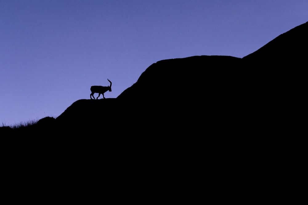 Photograph by jose luis Trujillo