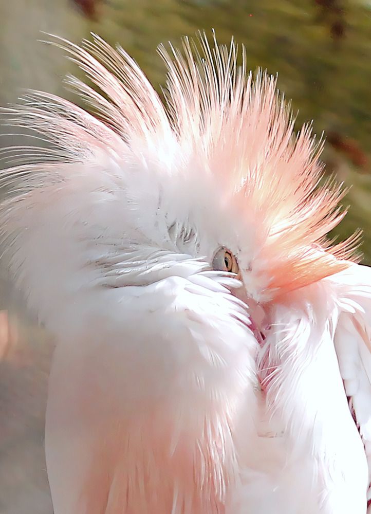 Photograph by Татьяна Слесарева