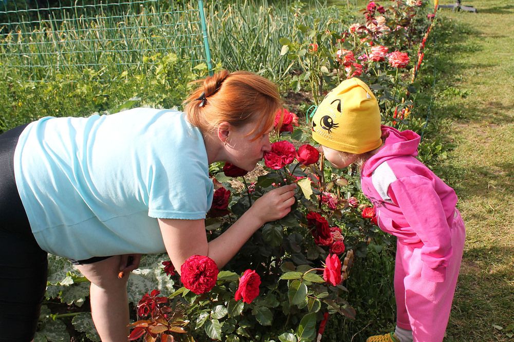 Photograph by Людмила Павловна