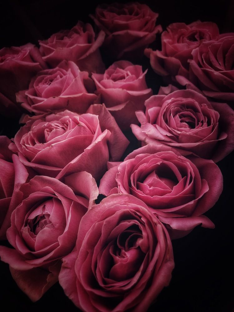 Photograph by Людмила Евстратова