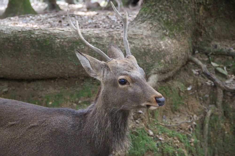 Photograph by Валентина