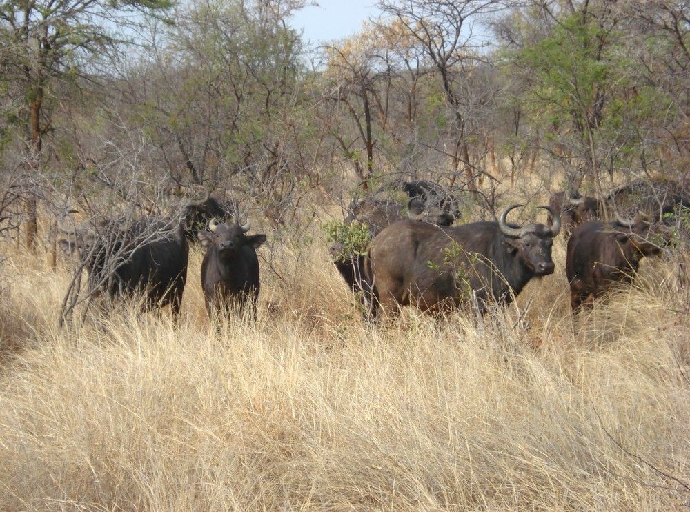 Photograph by Валентина