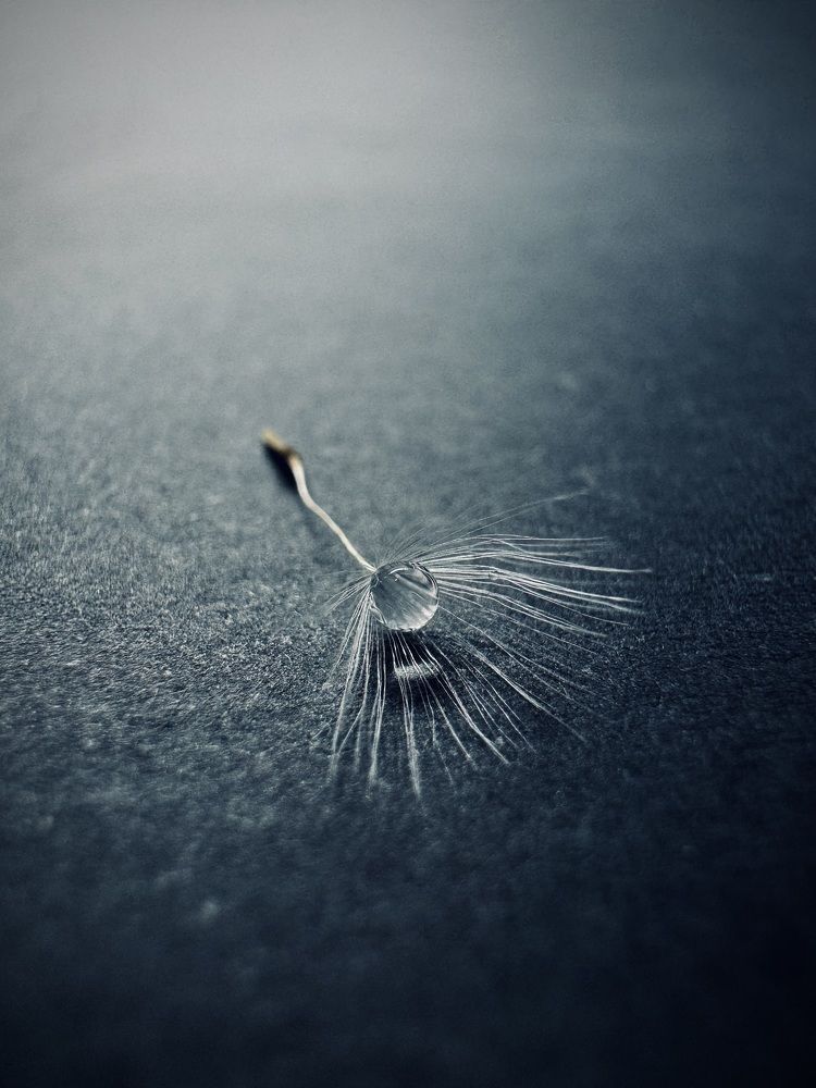 Фотография автора Евгения Елисеева