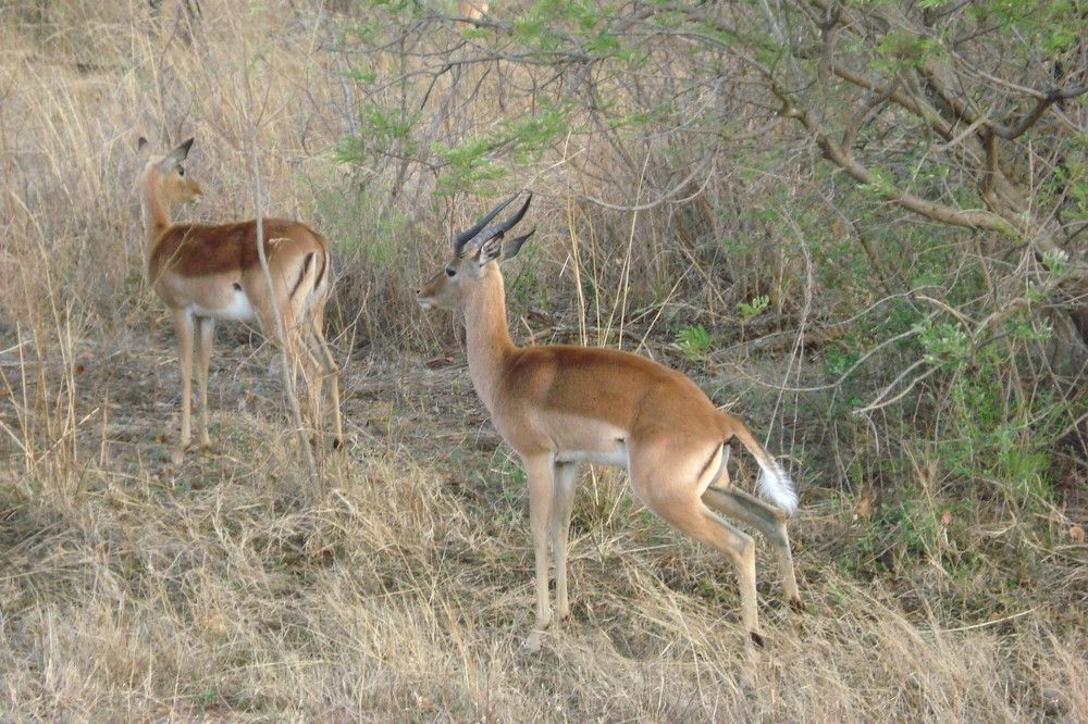 Photograph by Валентина