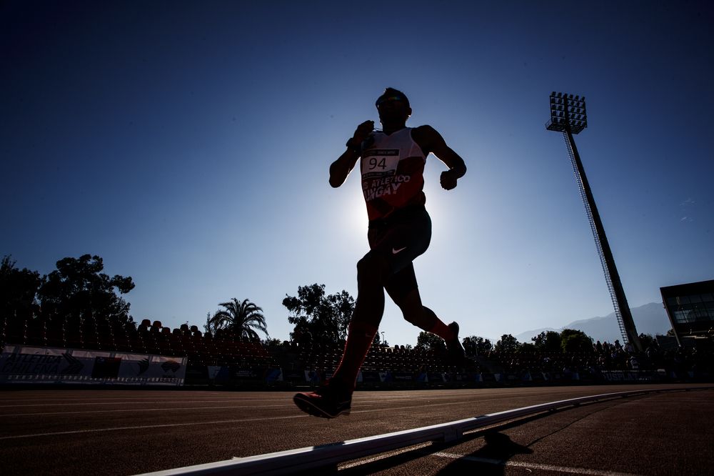 Photograph by Francisco Paredes