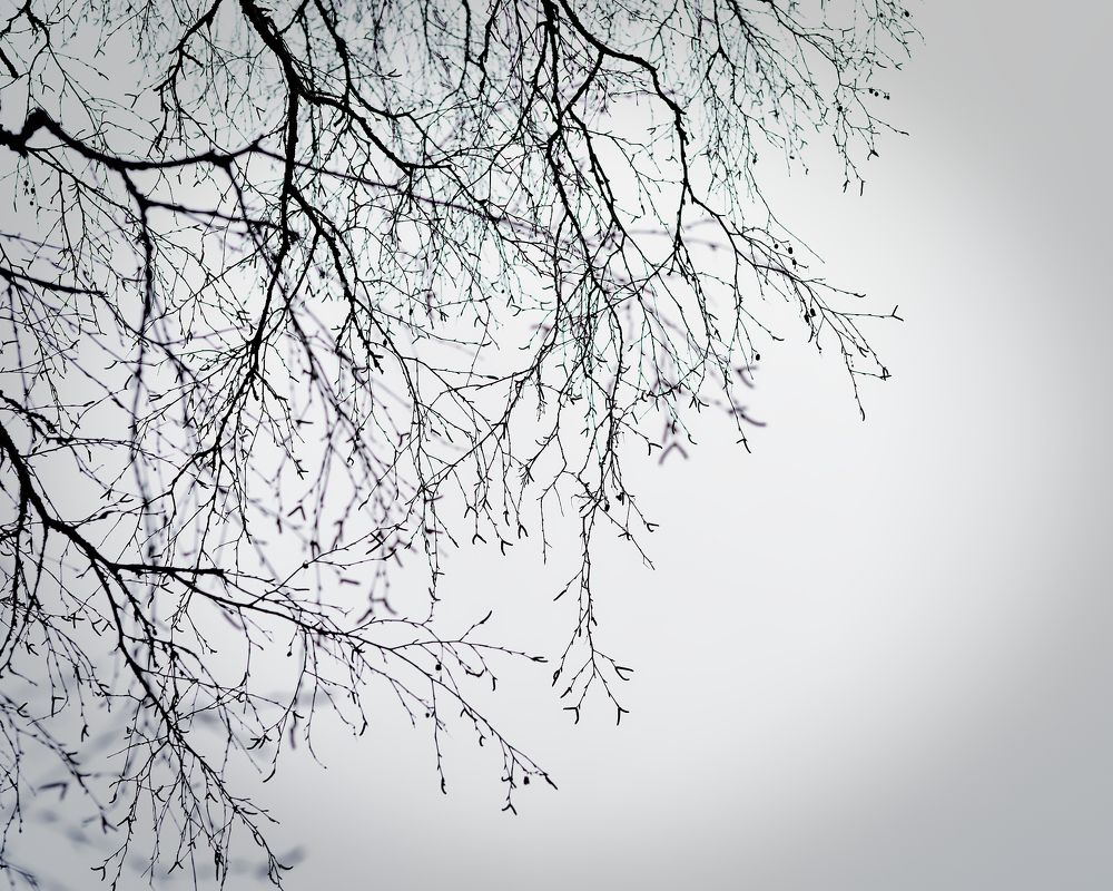 Photograph by Aleksei Degtjarjov