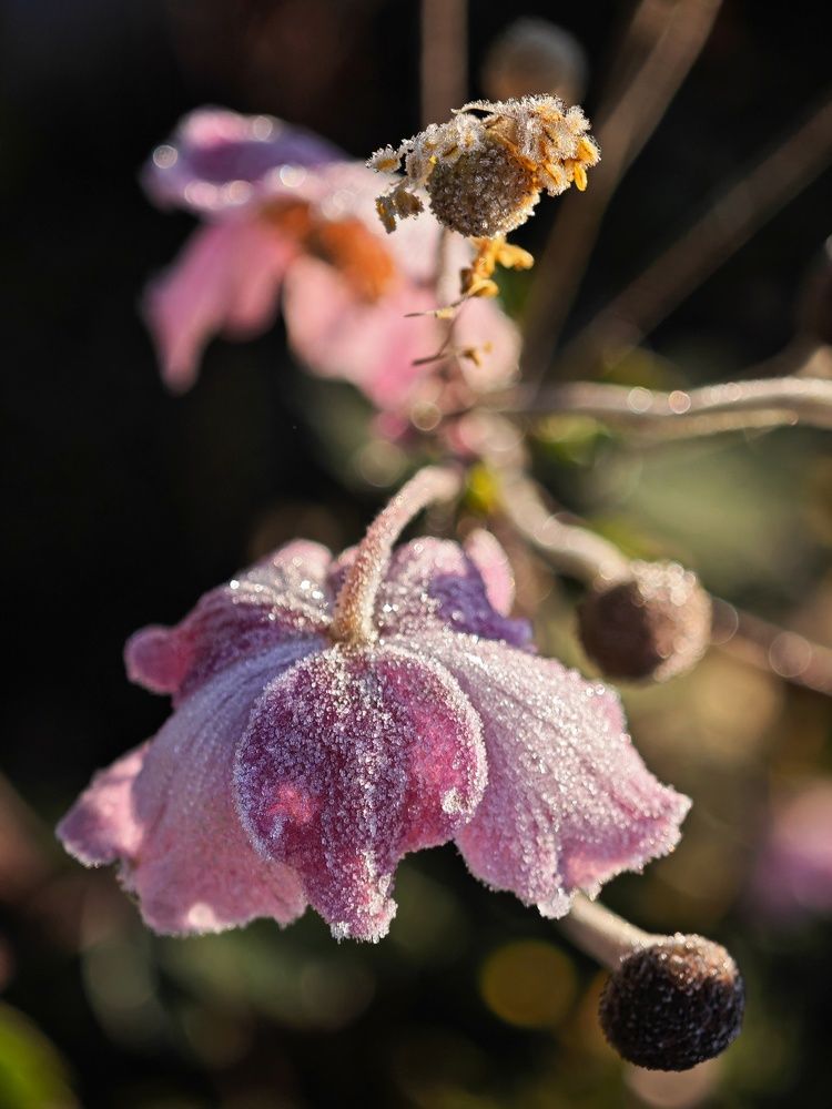 Photograph by Татьяна Соколовская