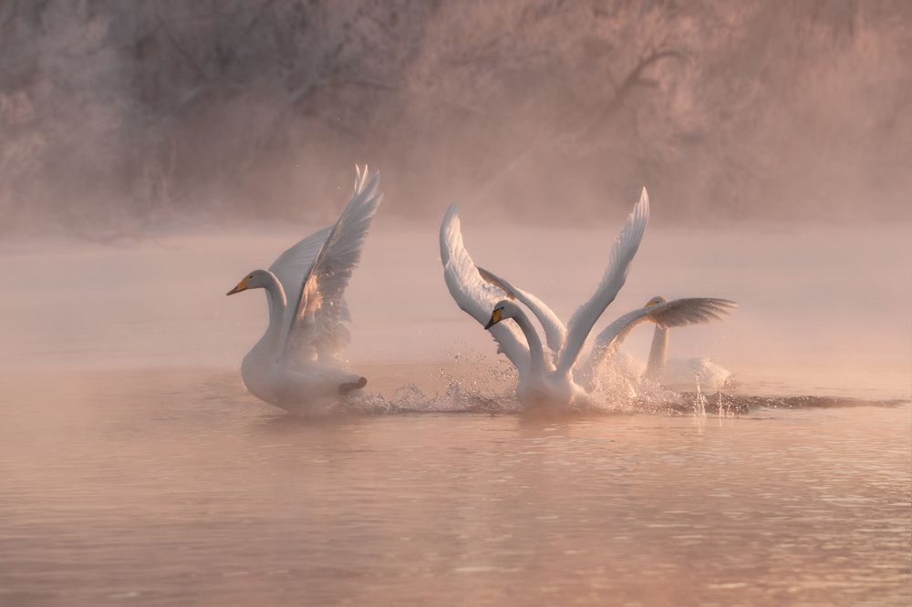 Фотография автора Рудченко Ольга