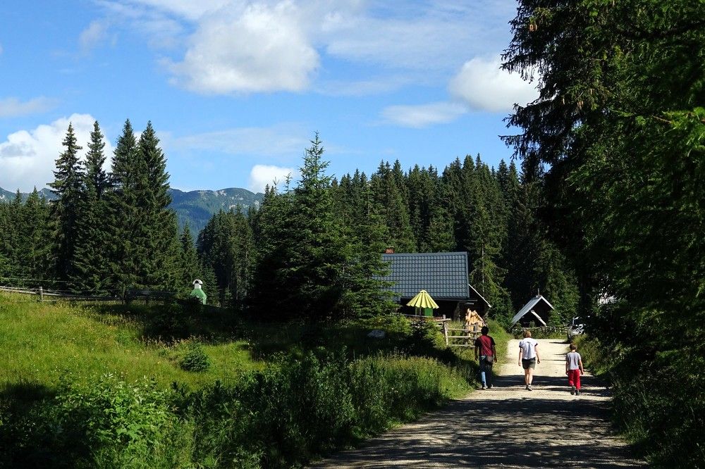 Photograph by jelena konickaja