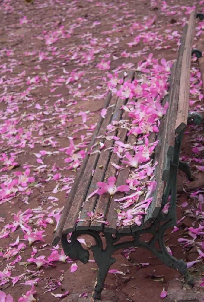 Photograph by Régis Santos