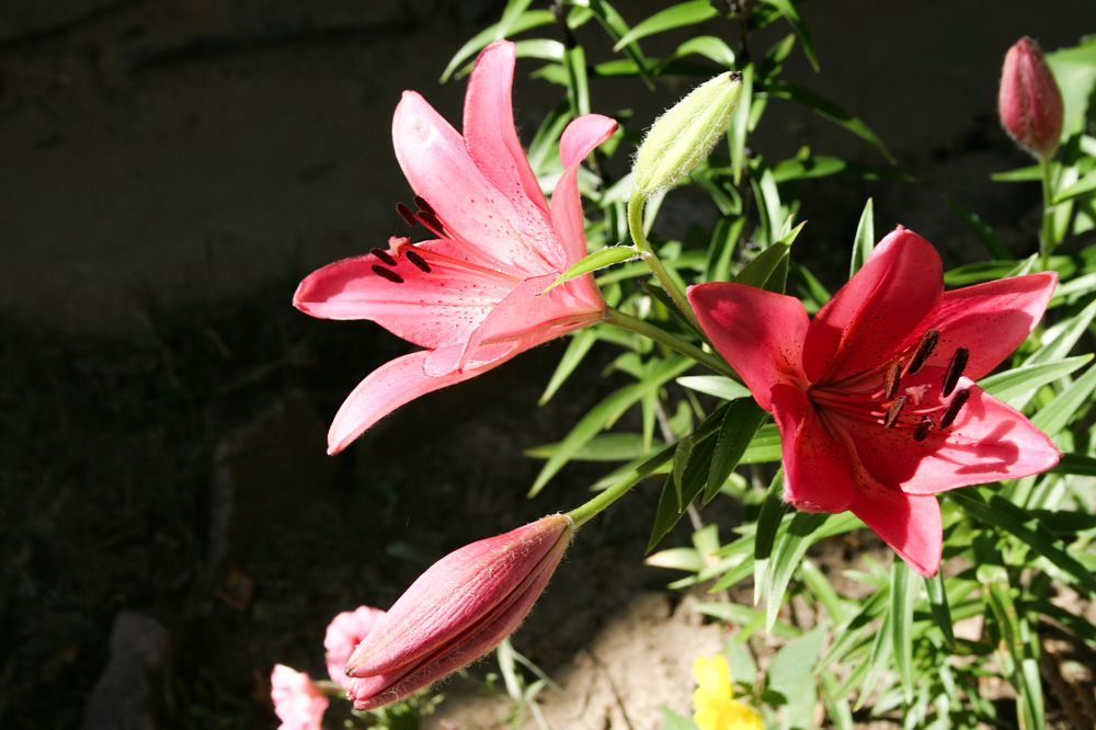 Photograph by Ирина Архипова