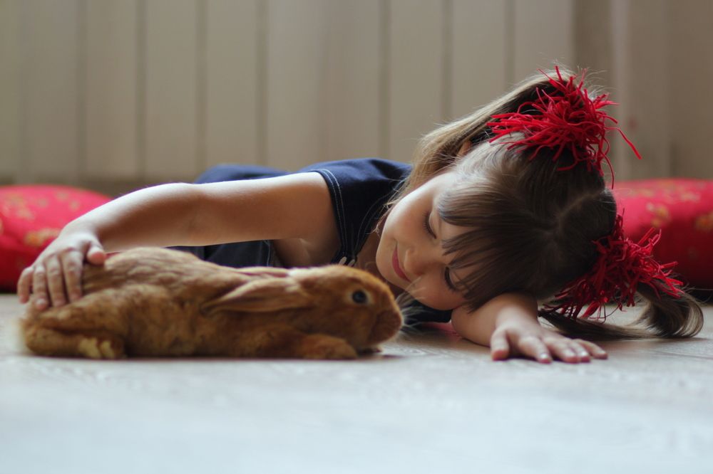 Photograph by Юлия Щетинина