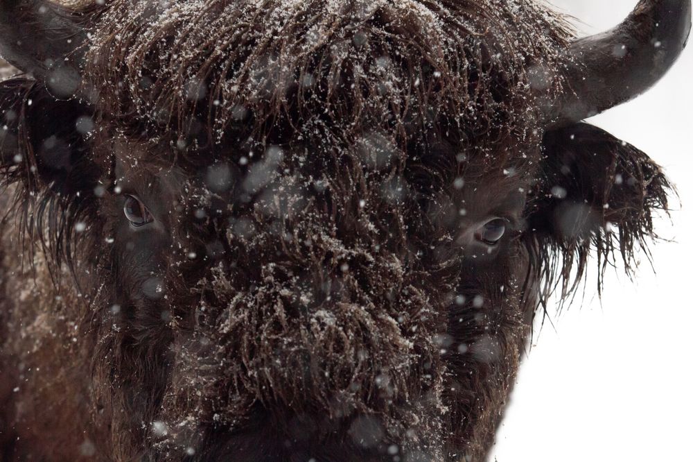 Photograph by Слащилина Нина