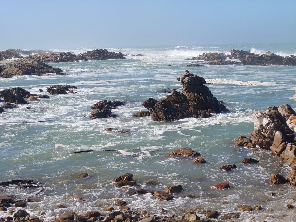 Photo #11425037