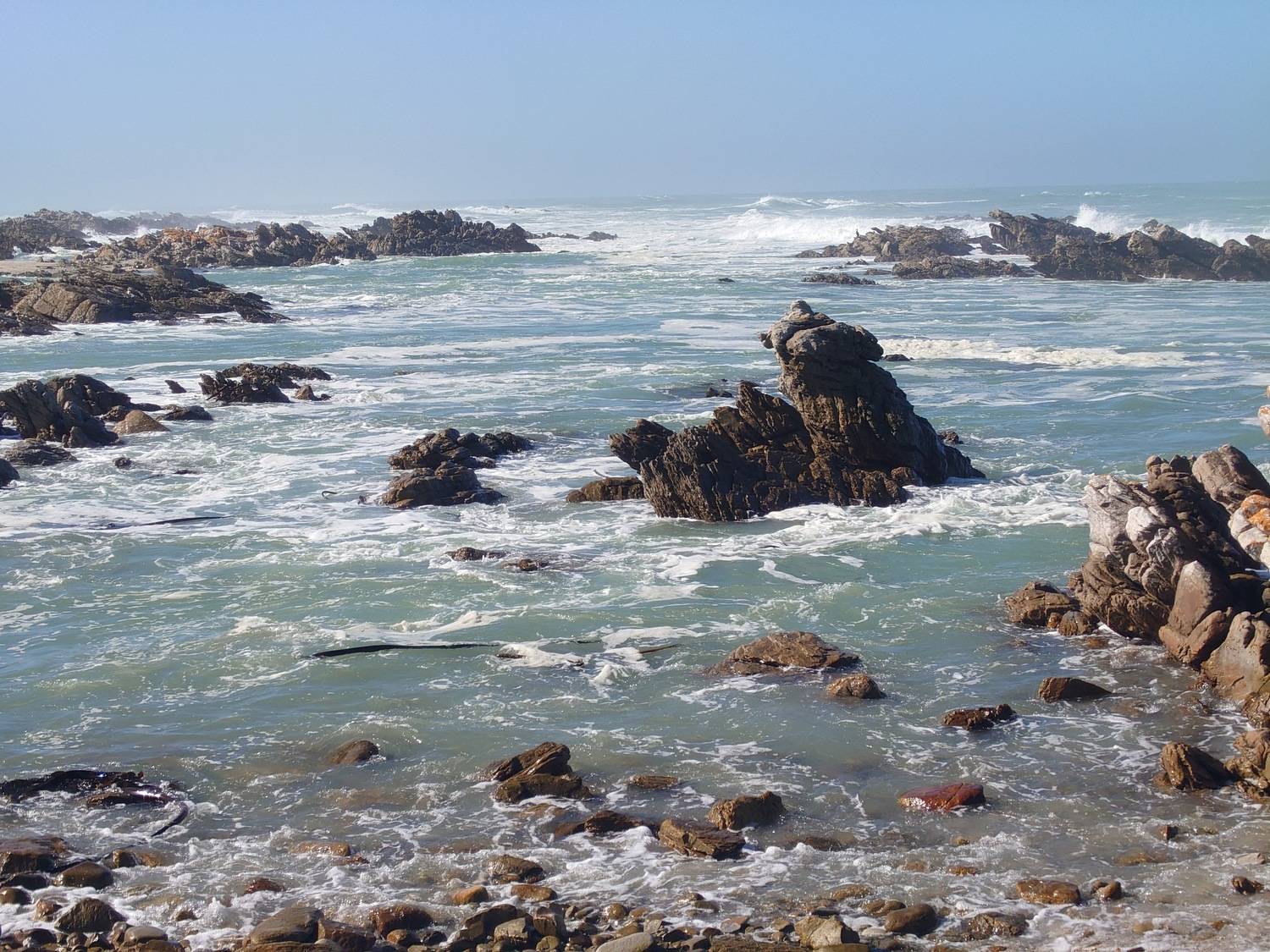 Photo #11425037