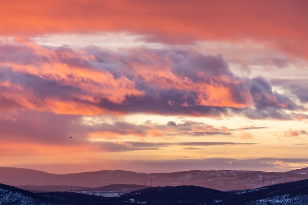 Фотография автора Наталья Василькова
