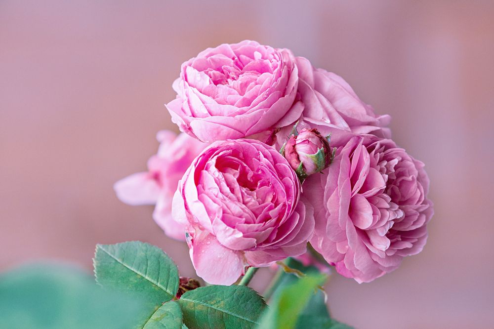 Фотография автора Наталья Василькова