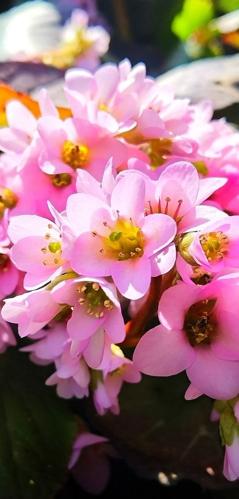 Photograph by Alen Brkić