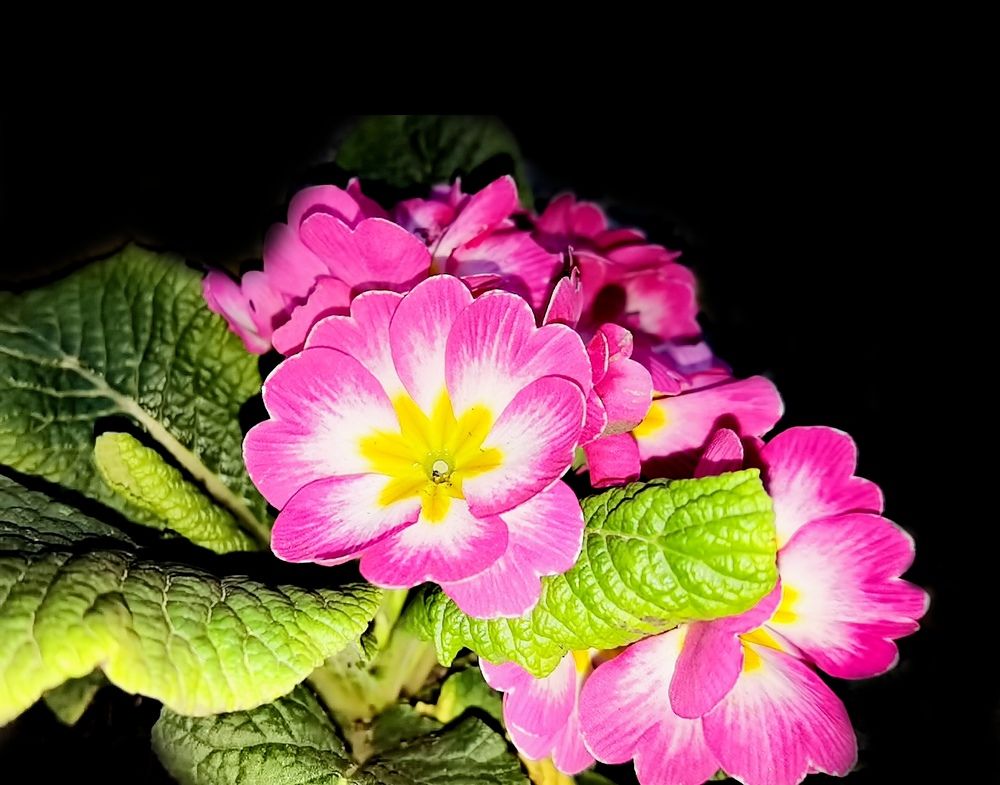 Photograph by Alen Brkić