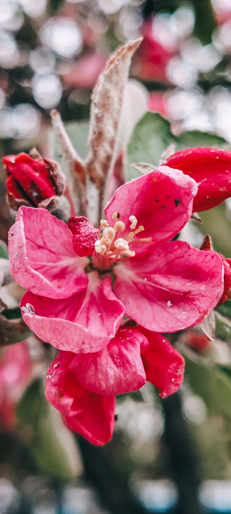 Фотография автора Любовь