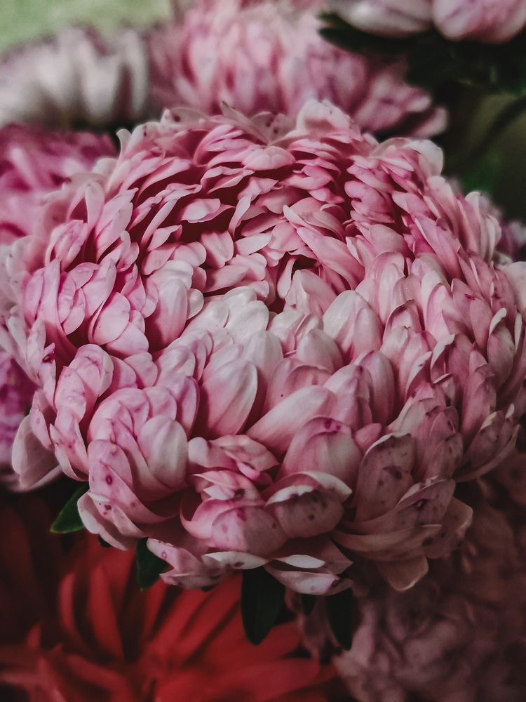 Фотография автора Любовь