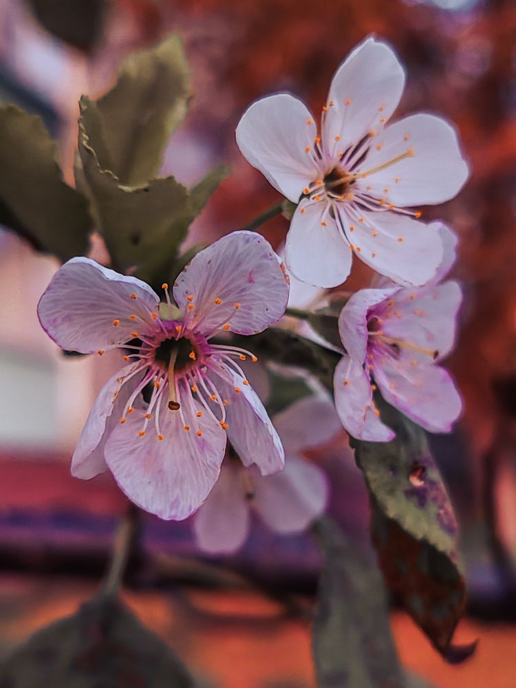 Фотография автора Любовь