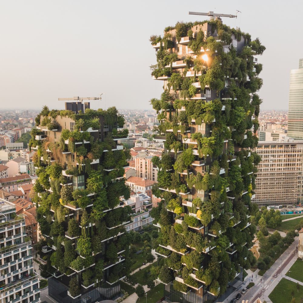 Photograph by ukeiro